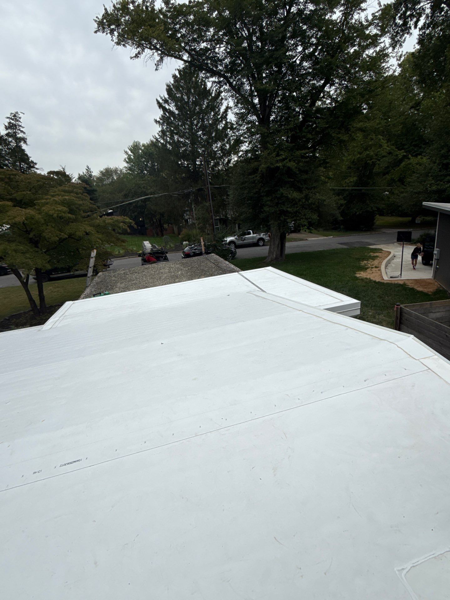 Falls Church :  TPO by RM Banning, Inc.