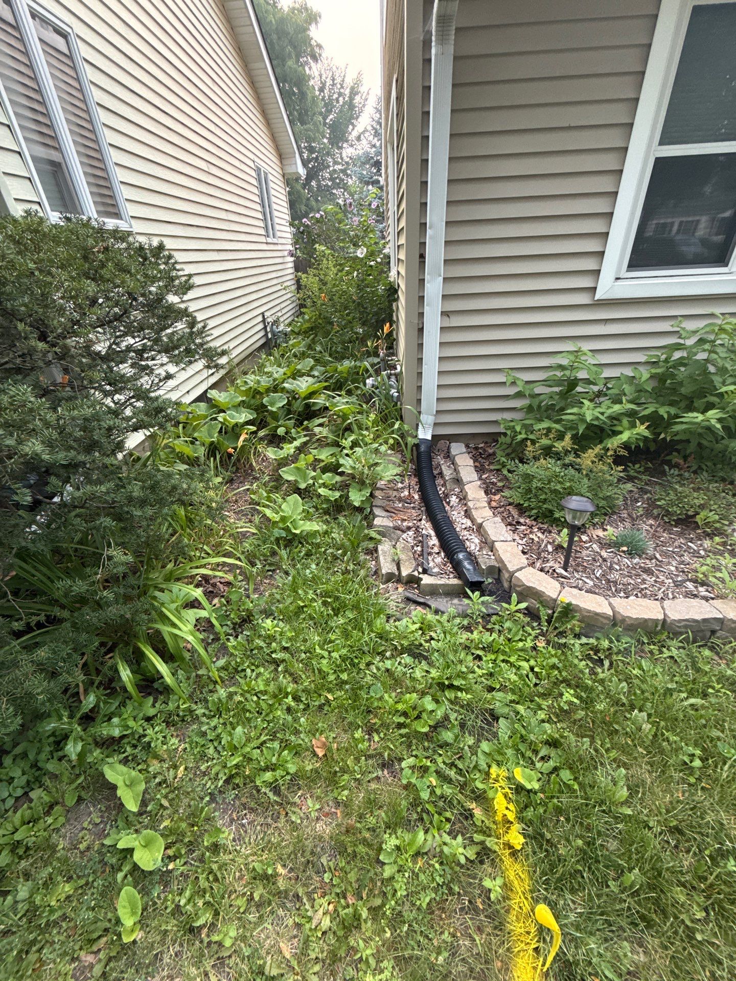 Allison C. - Arlington Heights, IL by A&N