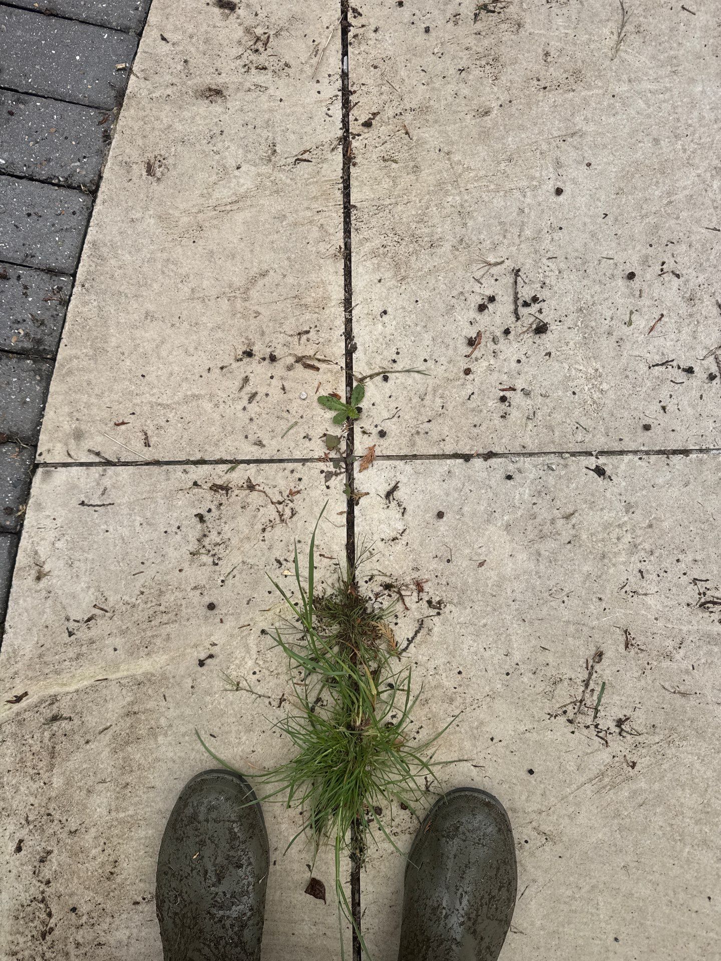 Patio Clean by Ges Exterior Cleaning ltd