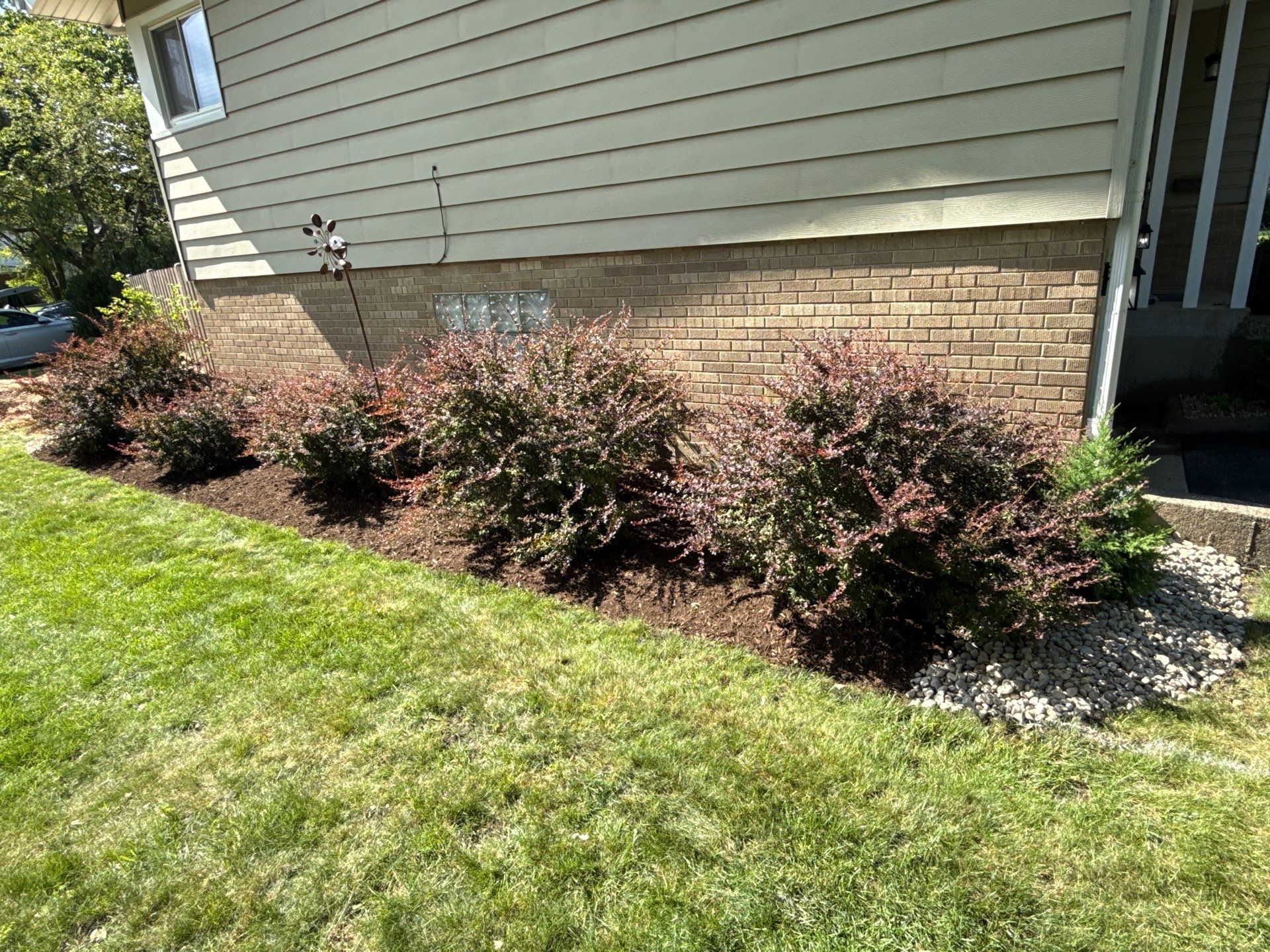 Amy N. - Arlington Heights, IL by A&N 