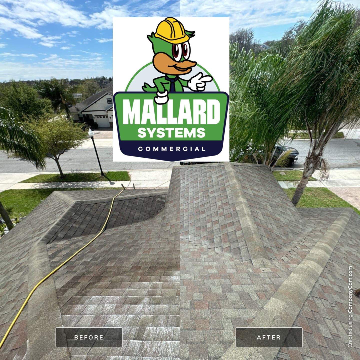 Shingle Roof Cleaning by Mallard Systems
