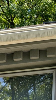 Turtle Shell gutter protection installation in Naperville, IL 60540, photograph 10