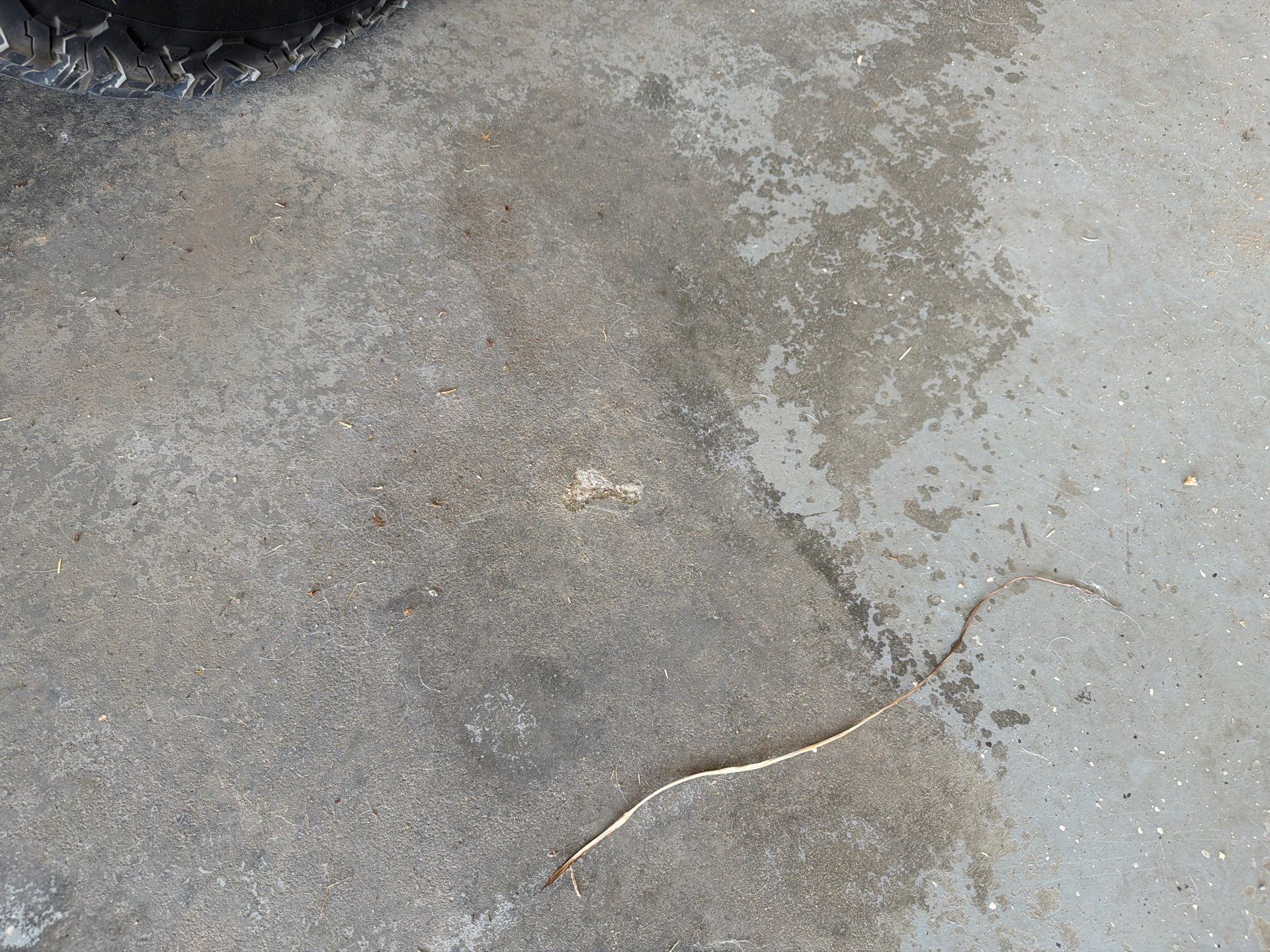Feather Grey Garage Floor Coating Installation in Valley Springs by Select Painting, Coatings & Garage Cabinets