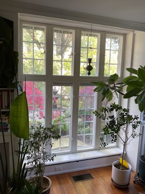 Detailed Window Restoration Throughout a Beautiful Wyndmoor Home ✨🪟
