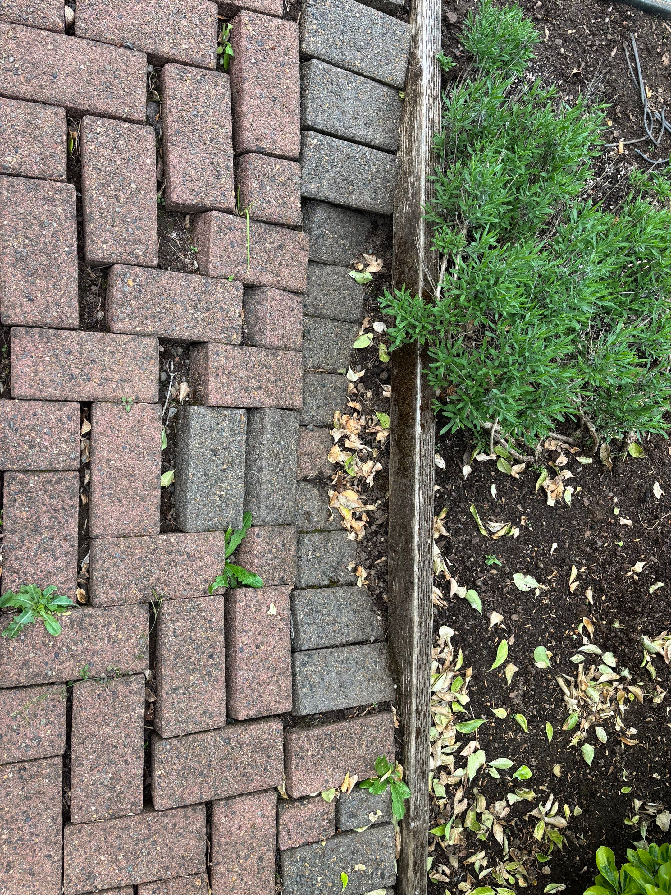 Pavers Restoration by Handyman State LLC