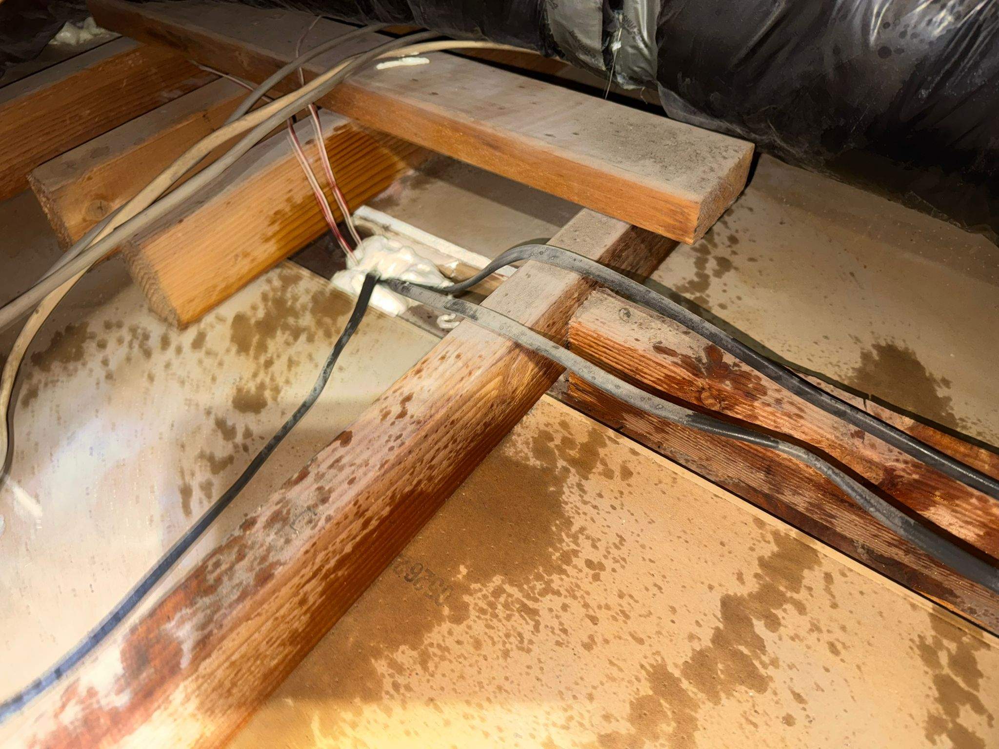 Project by Advanced Attic Solutions by Advanced Attic Solutions