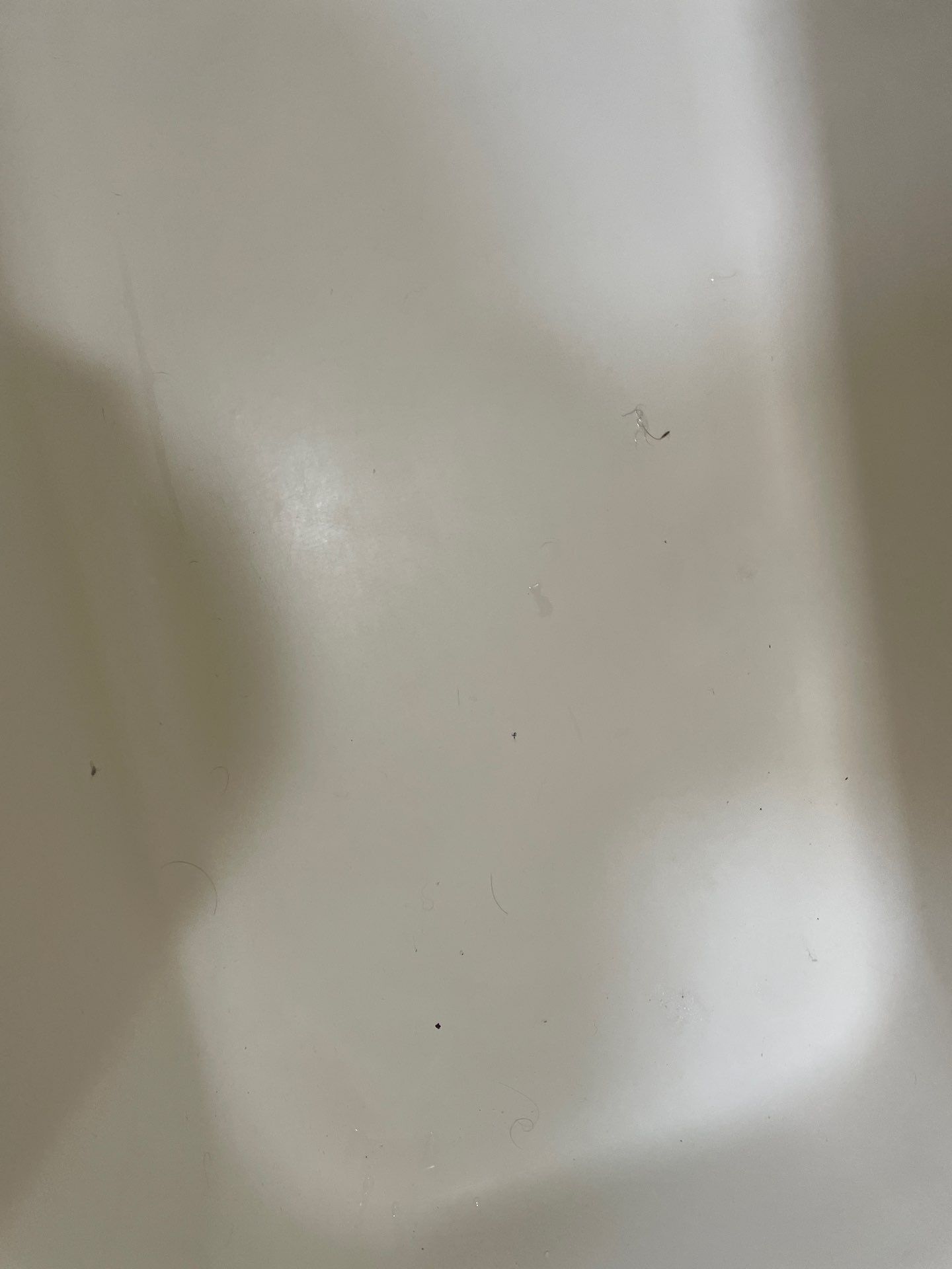 Project in Worcester by Mg House Cleaning