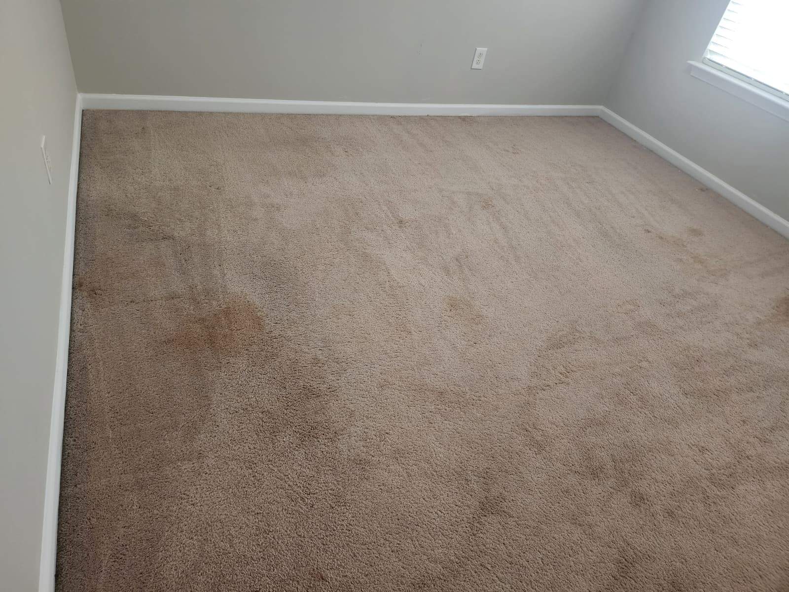 Project 36 by Furnish My Place