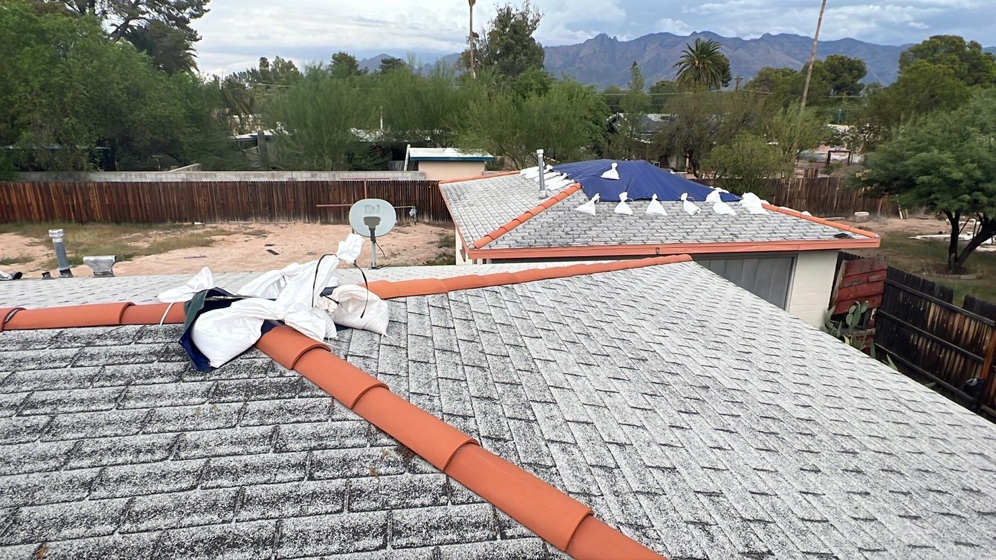 Silver Birch Shingles by Reimagine Roofing