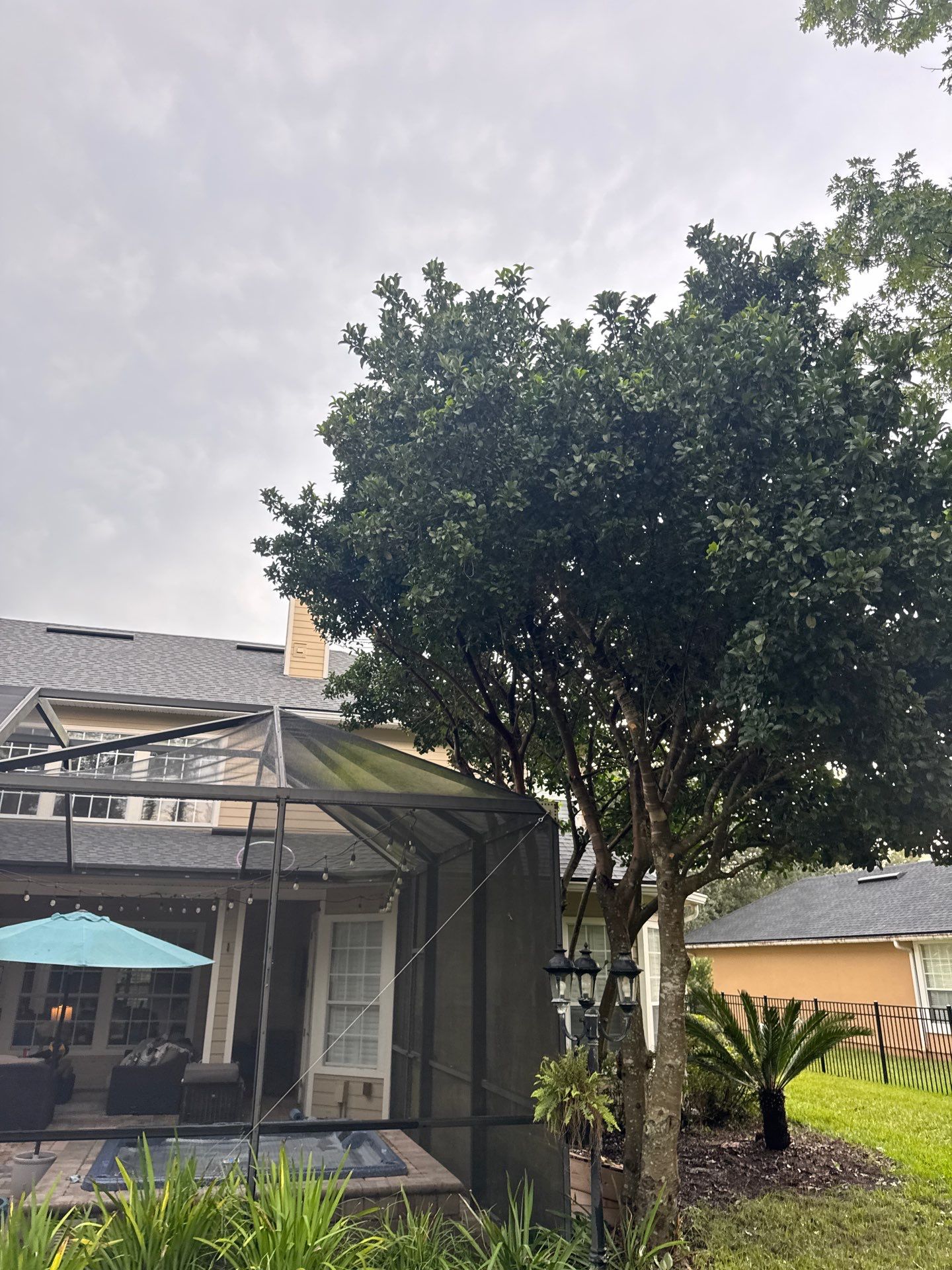 Residential | Sod Installation & Tree Trimming by ProGreen Services