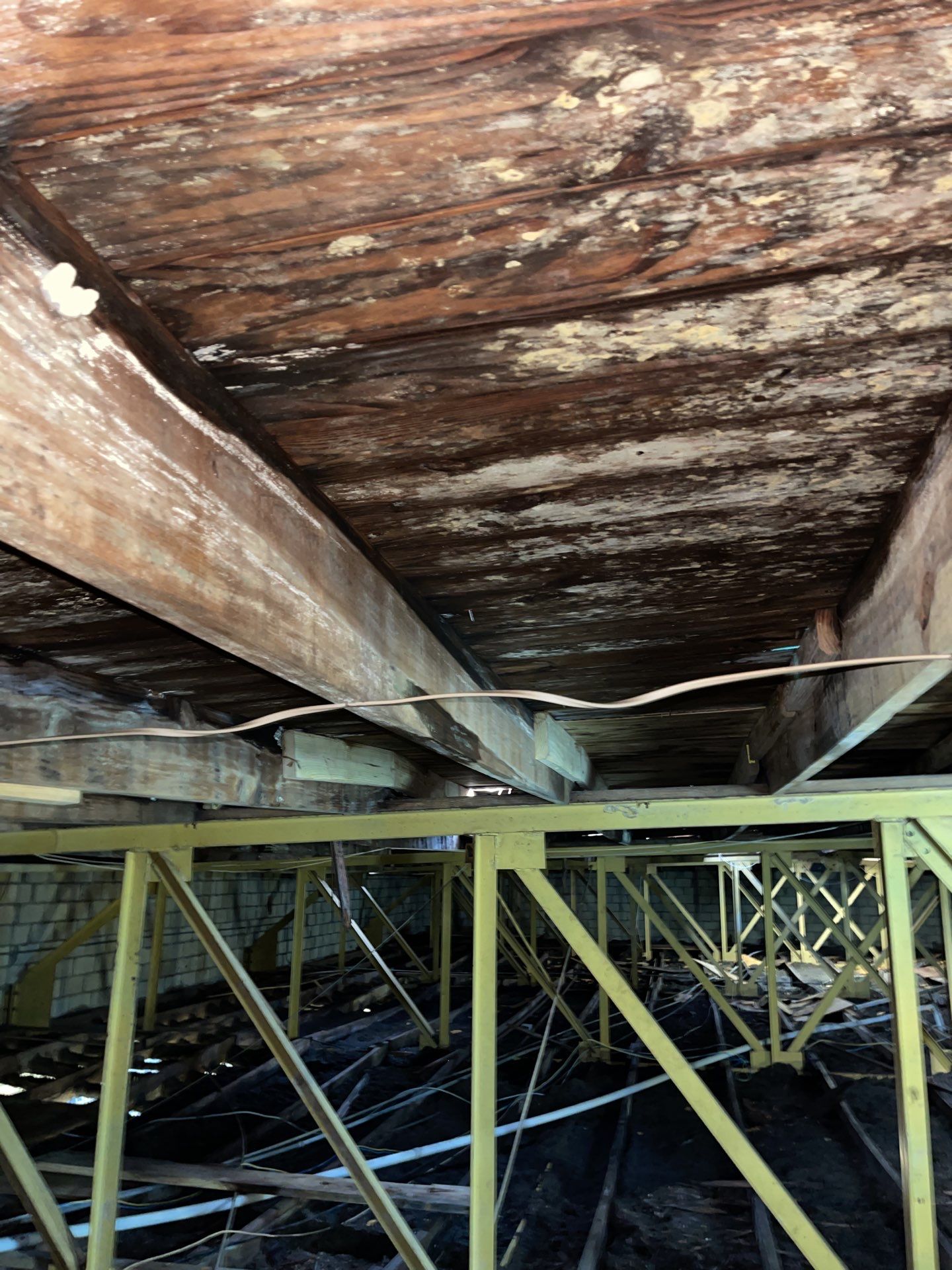 truses repair and new deking  by Xtreme interior company LLC