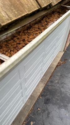 Turtle Shell gutter protection installation in St. Charles, IL 60174, photograph 16