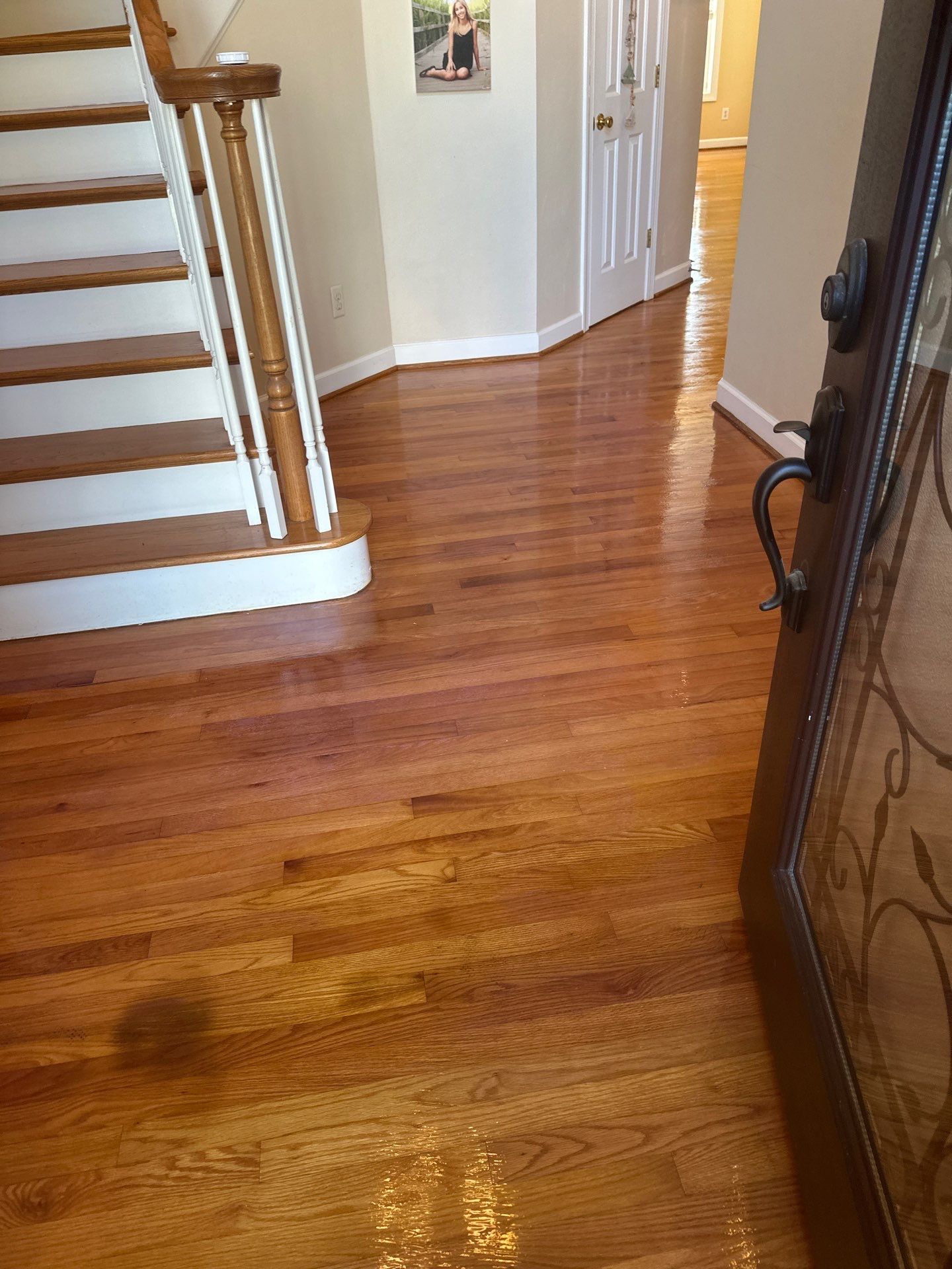 Hardwood Renewal  using Finish Em by Monster Clean