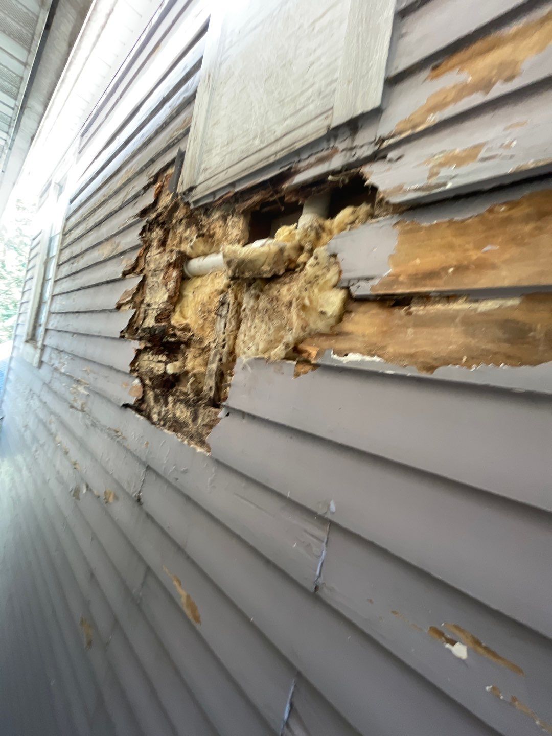 Megna Crew Showcase by Megna Painting