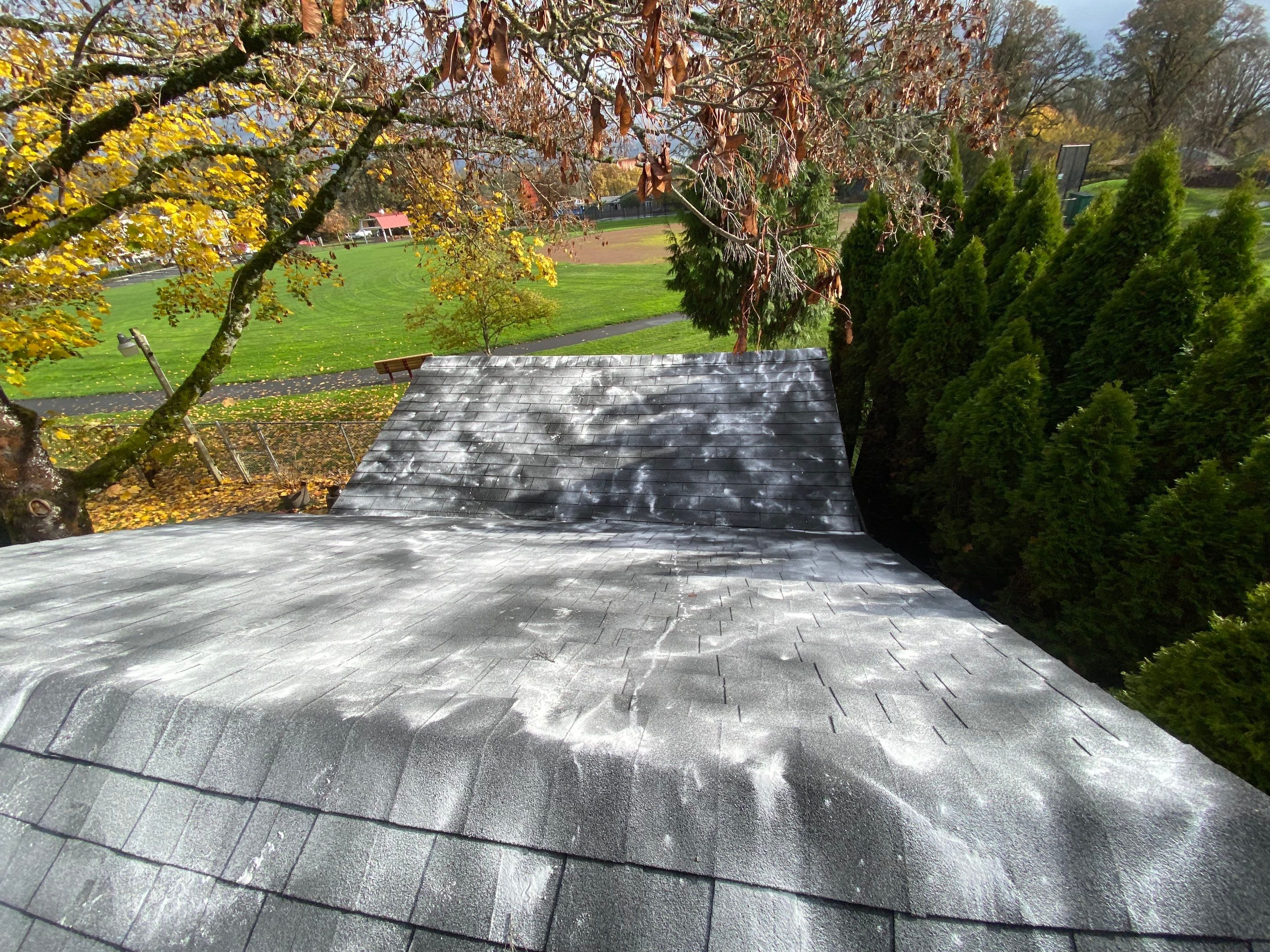 Roof Replacement in Aloha by Prodigy Roof Solutions
