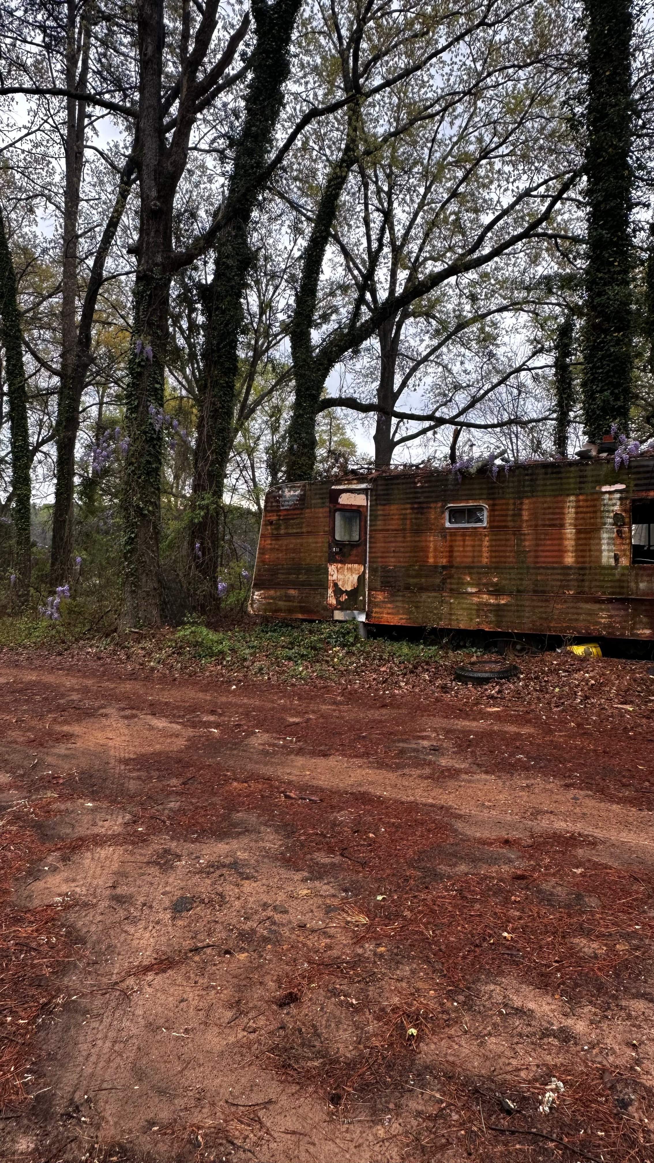 BeeGirl ETX HQ by Rockwall Honey Bee Company