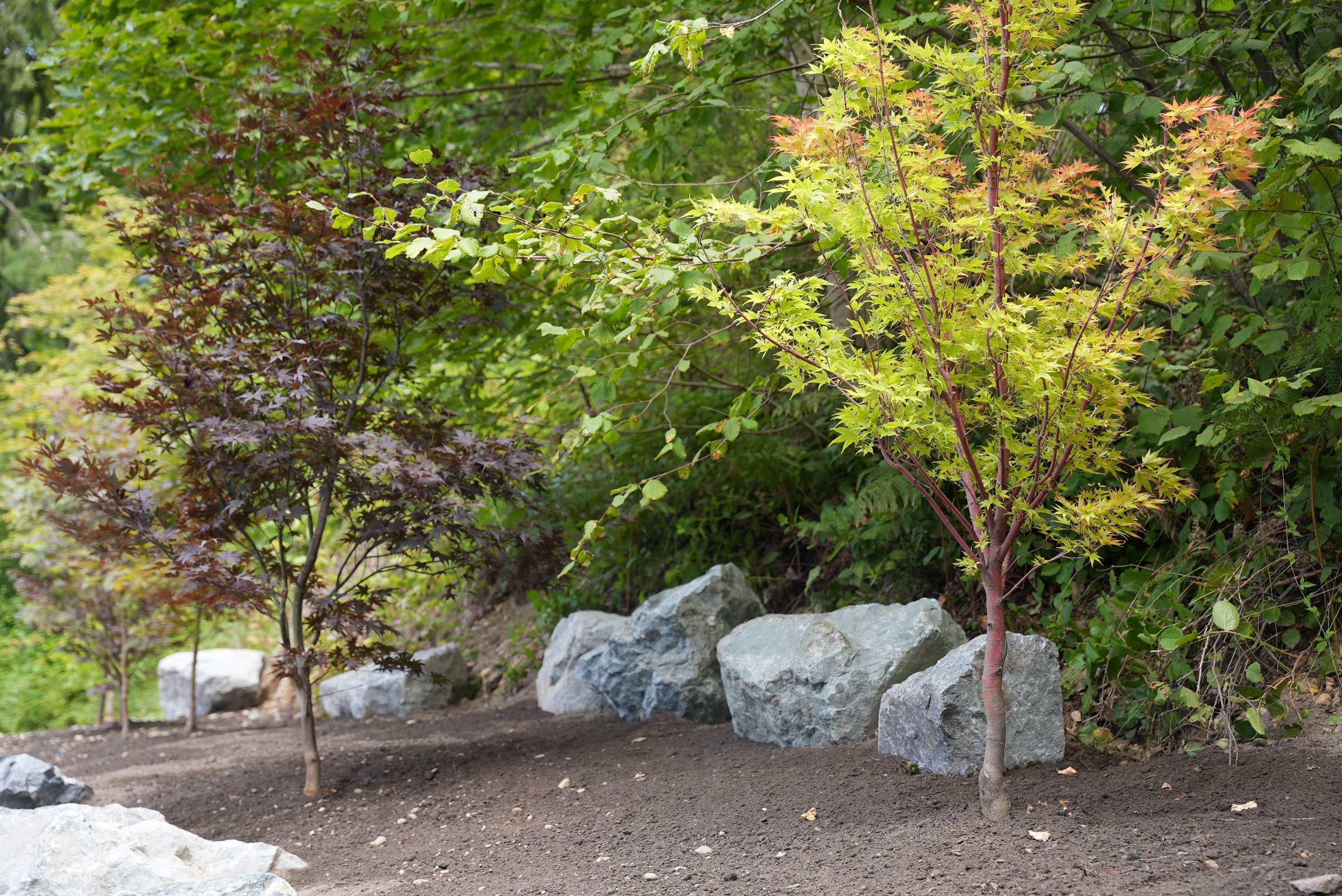 Jim | Rockery Wall, Landscaping, Road Repair & Sealcoating by Jireh Asphalt & Concrete Inc 