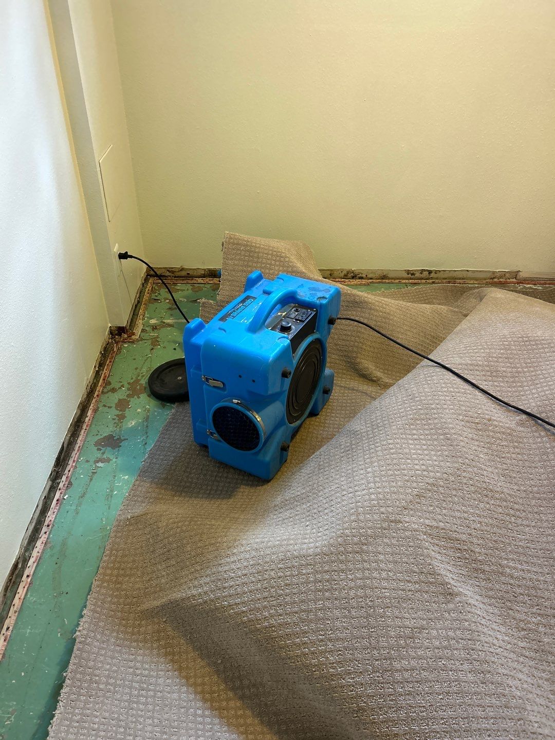 Mold Remediation by Accountable Home Services