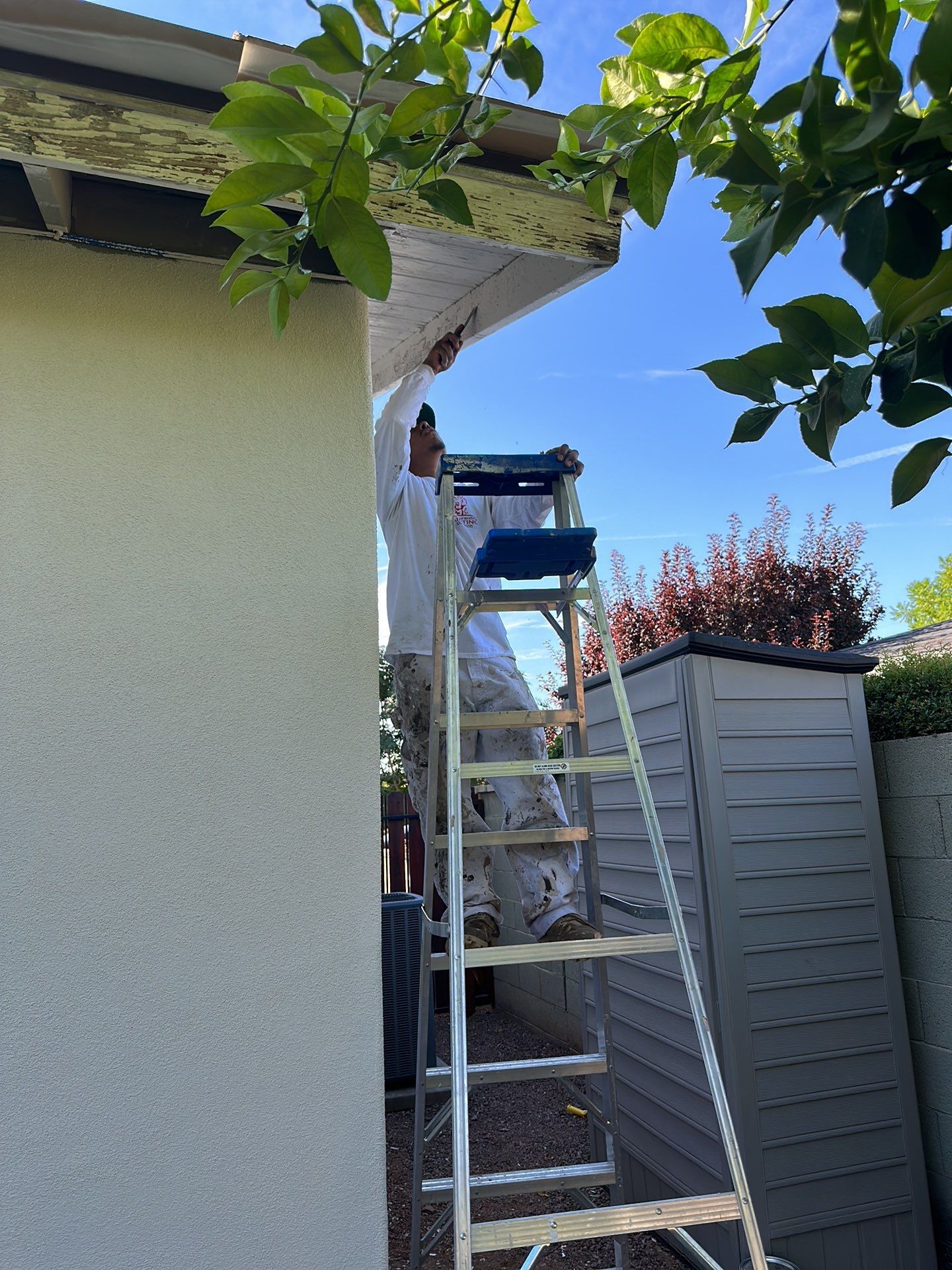 Exterior House Painting - Phoenix by Crash of Rhinos Painting & Garage Floors
