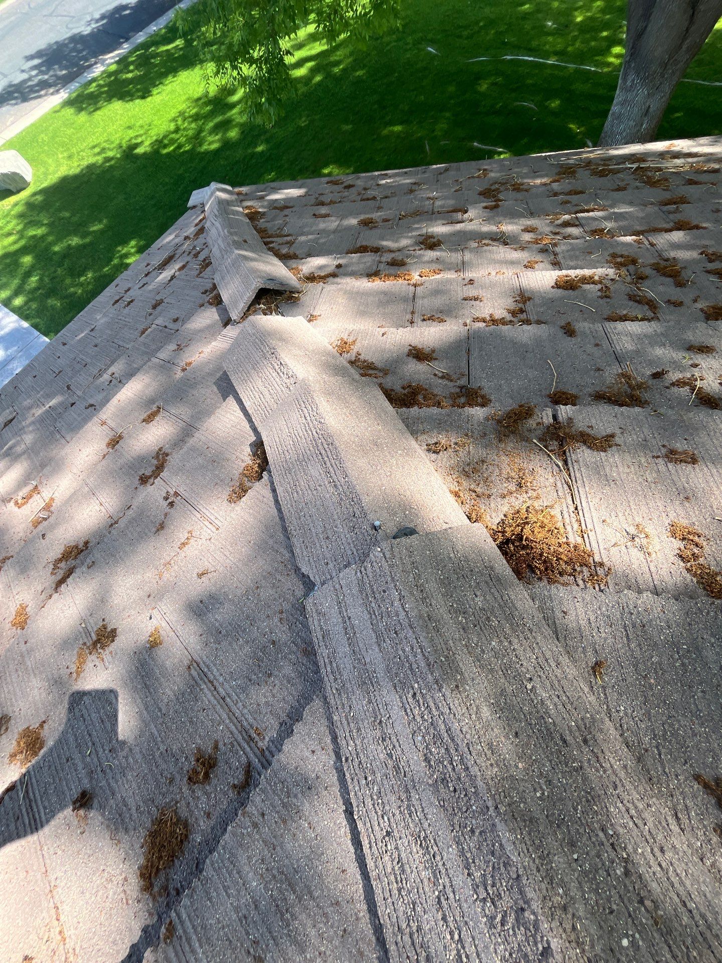 Sandstone Beige Concrete Tile by Reimagine Roofing