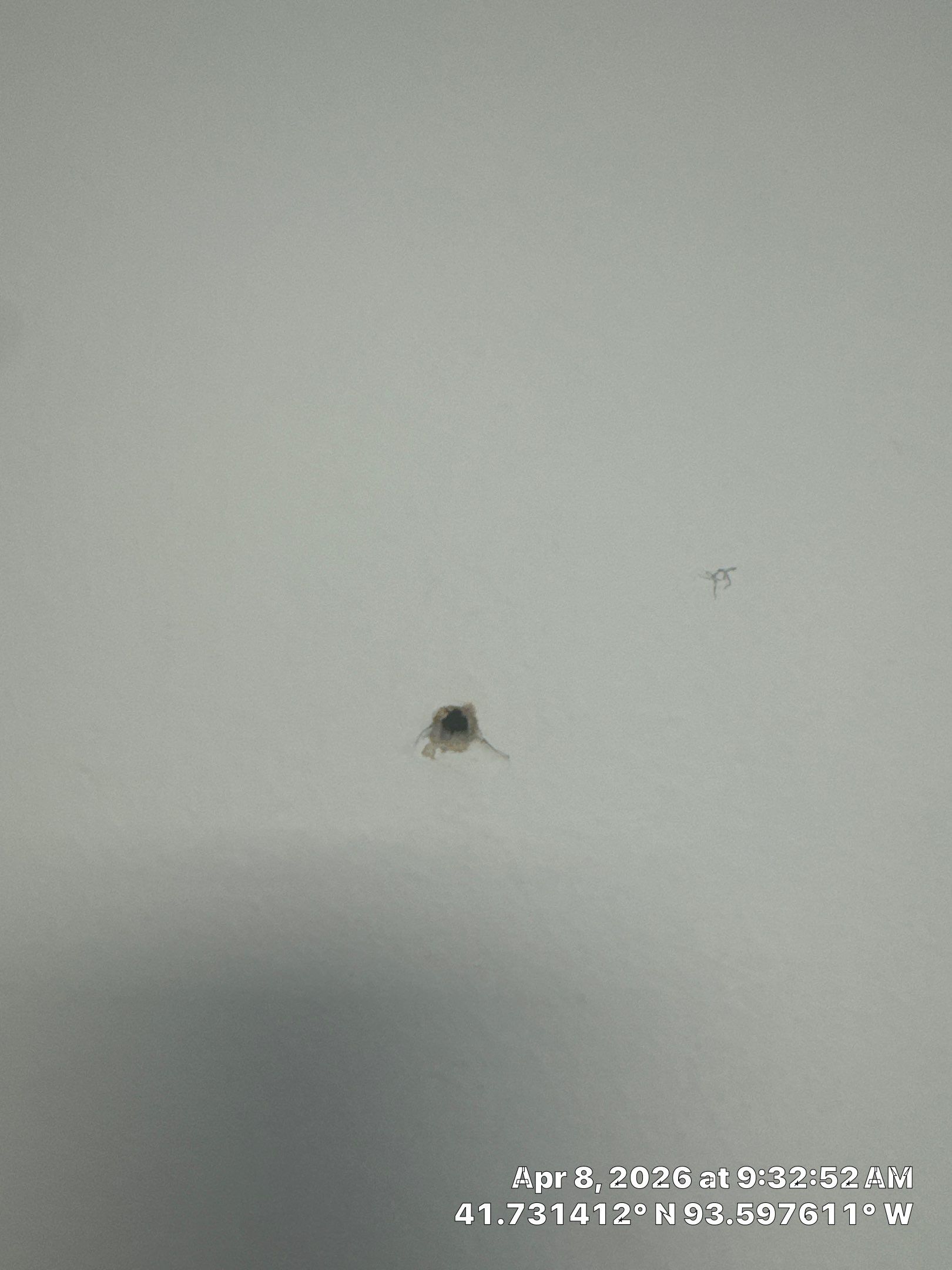 Commercial Office Repaint  by Midwest Paint LLC