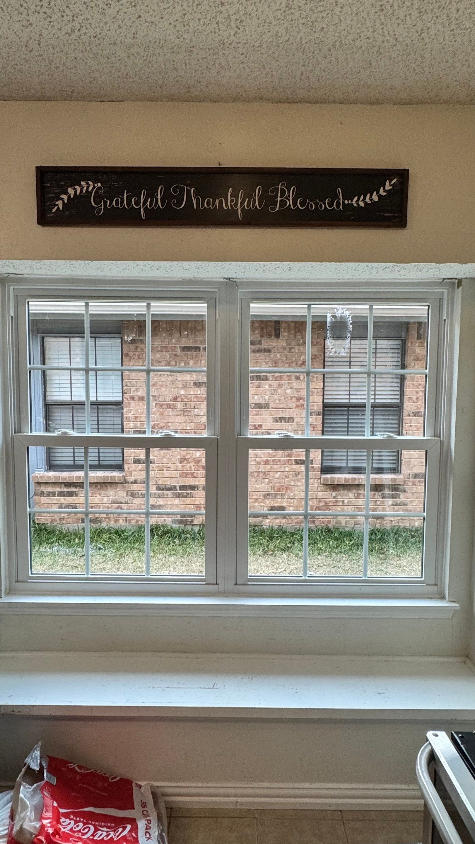 Windows and Exterior Paint by Rhino Roofing and General Contracting, LLC