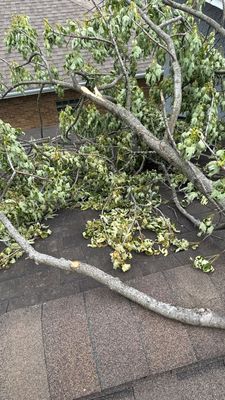Turtle Shell gutter protection installation in Naperville, IL 60563, photograph 9