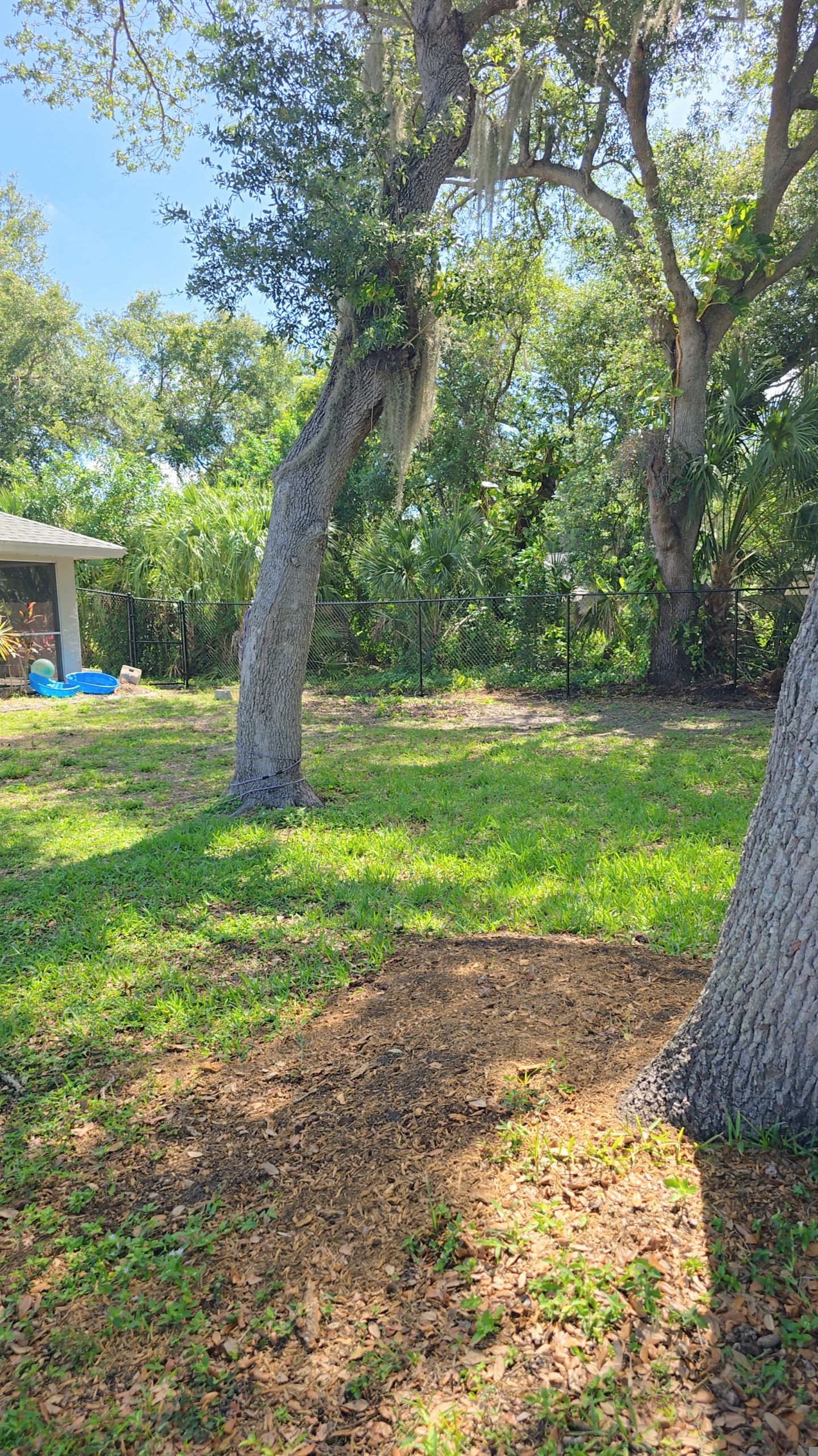 Black Chain Link in Port Charlotte by True Fence LLC