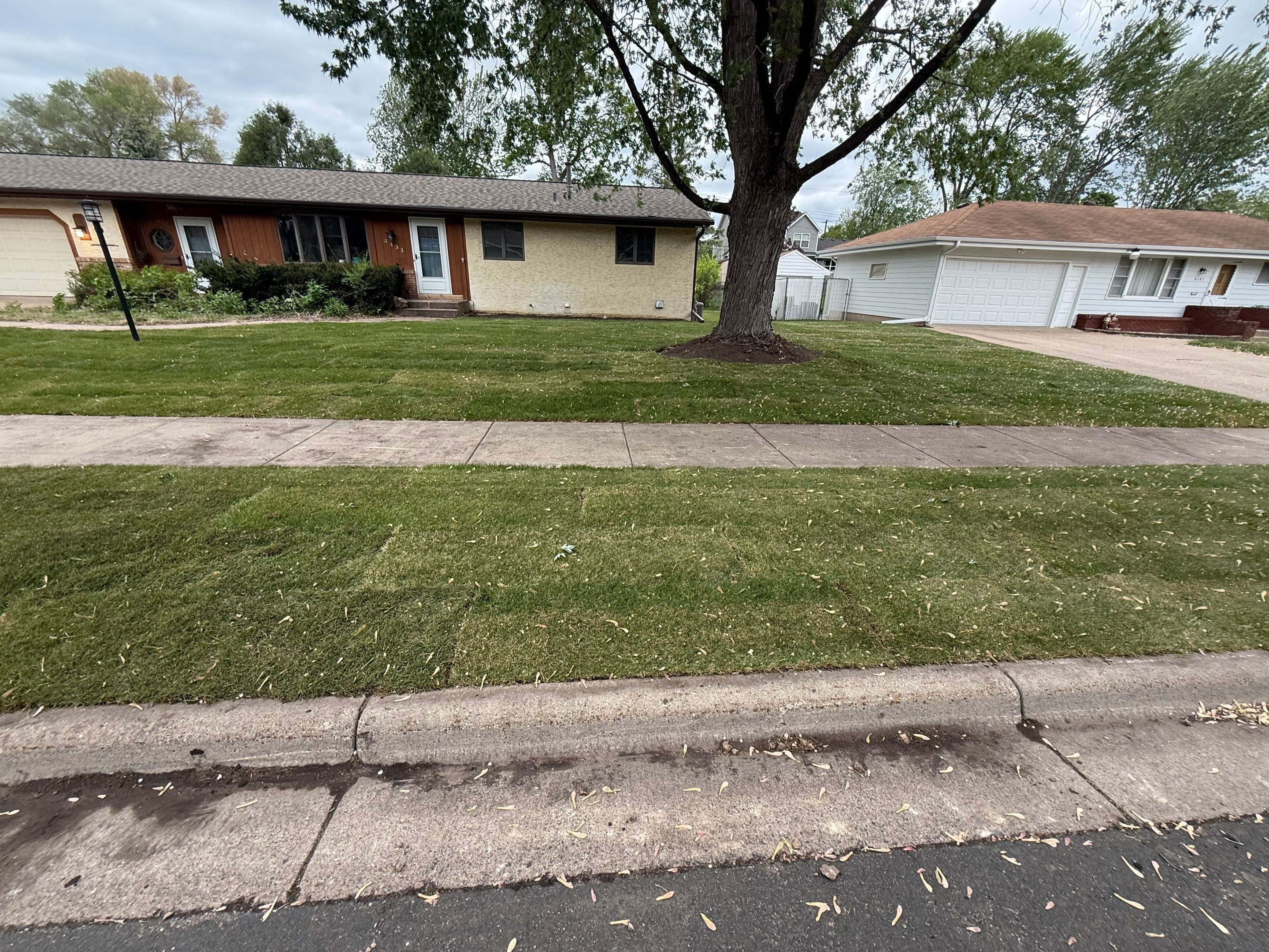 Landscape Renovation by Sota landscaping