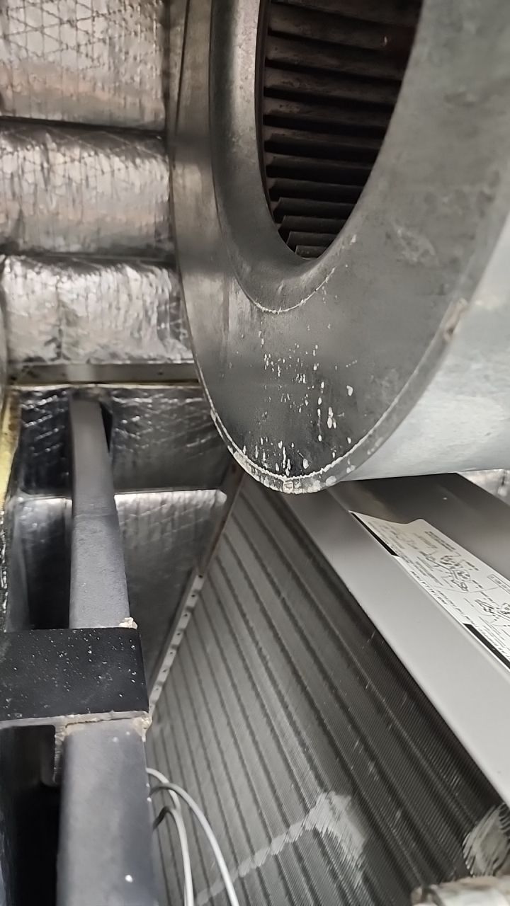 HVAC MOLD ASSESMENT by Building performance Solutions LLC