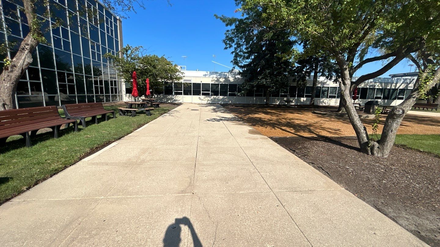 concrete using Algaecide, soft wash soap by Northern Power Washing LLC.