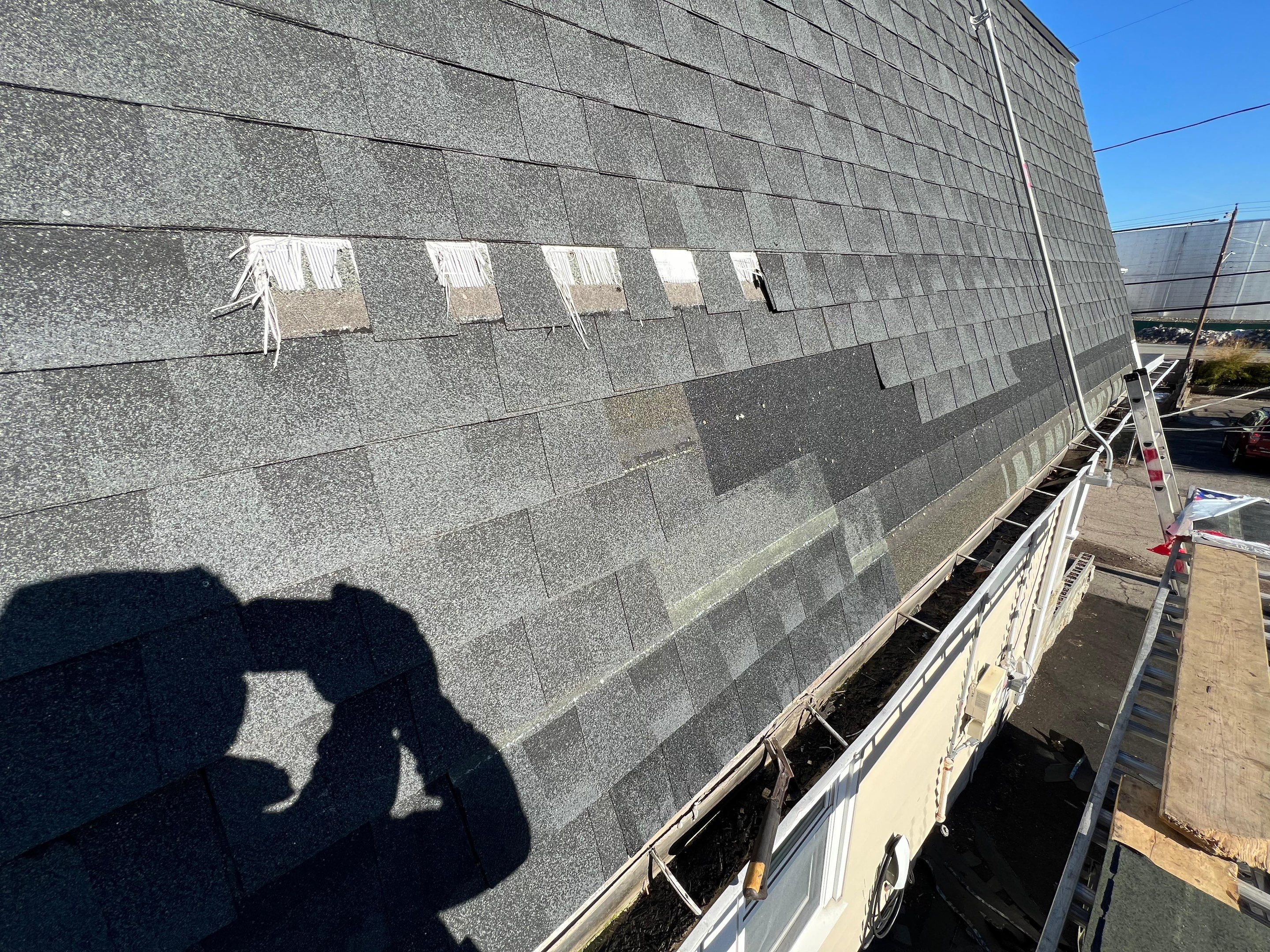 Critter Damage Repair: Ridge Vent Upgrade & Mansard Shingle Restoration by JOHNNYS PRO