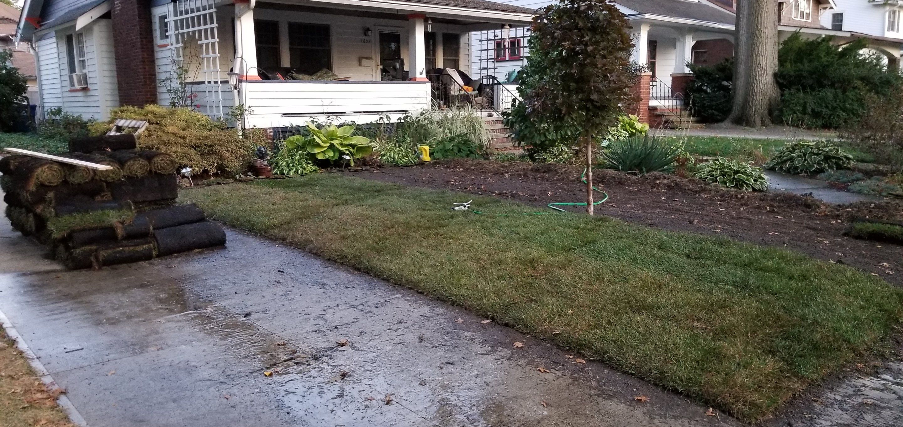 Woodland Island Project by Elm Rose Gardens