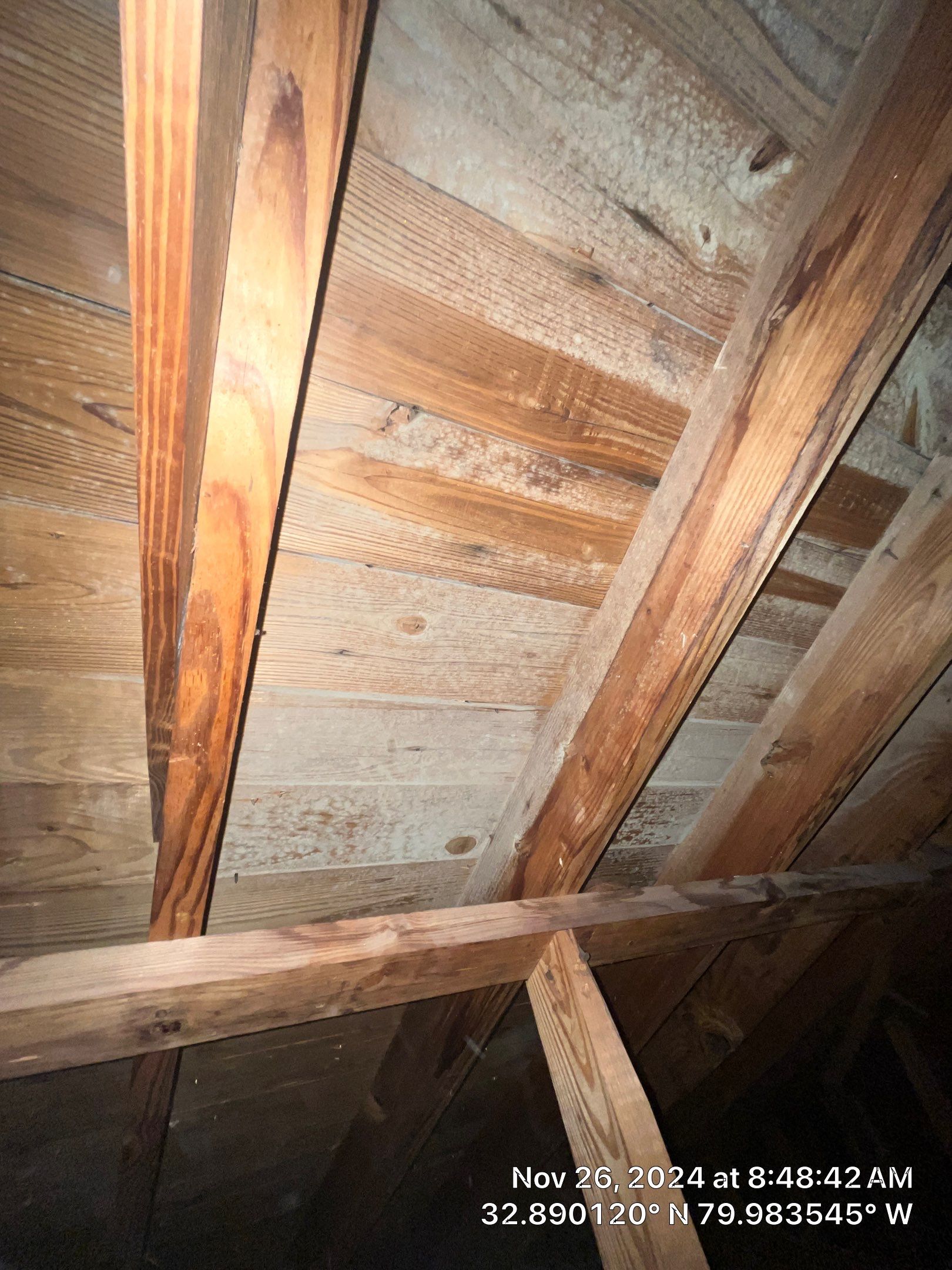 Limited Mold Remediation by EAS Environmental, LLC.