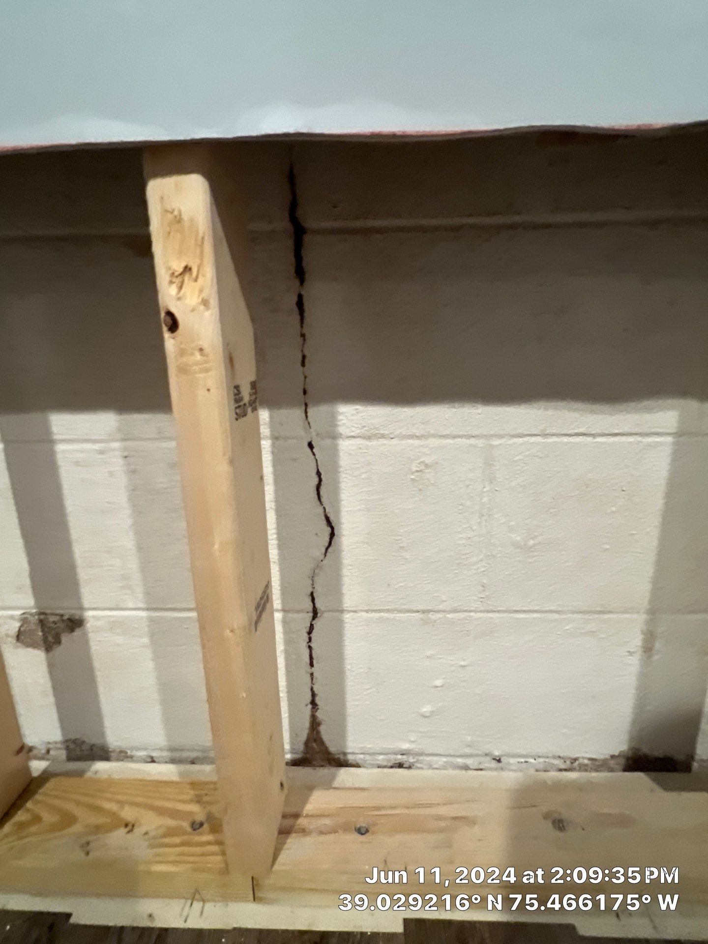 Basement Mold Remediation by Healthy Home Solutions