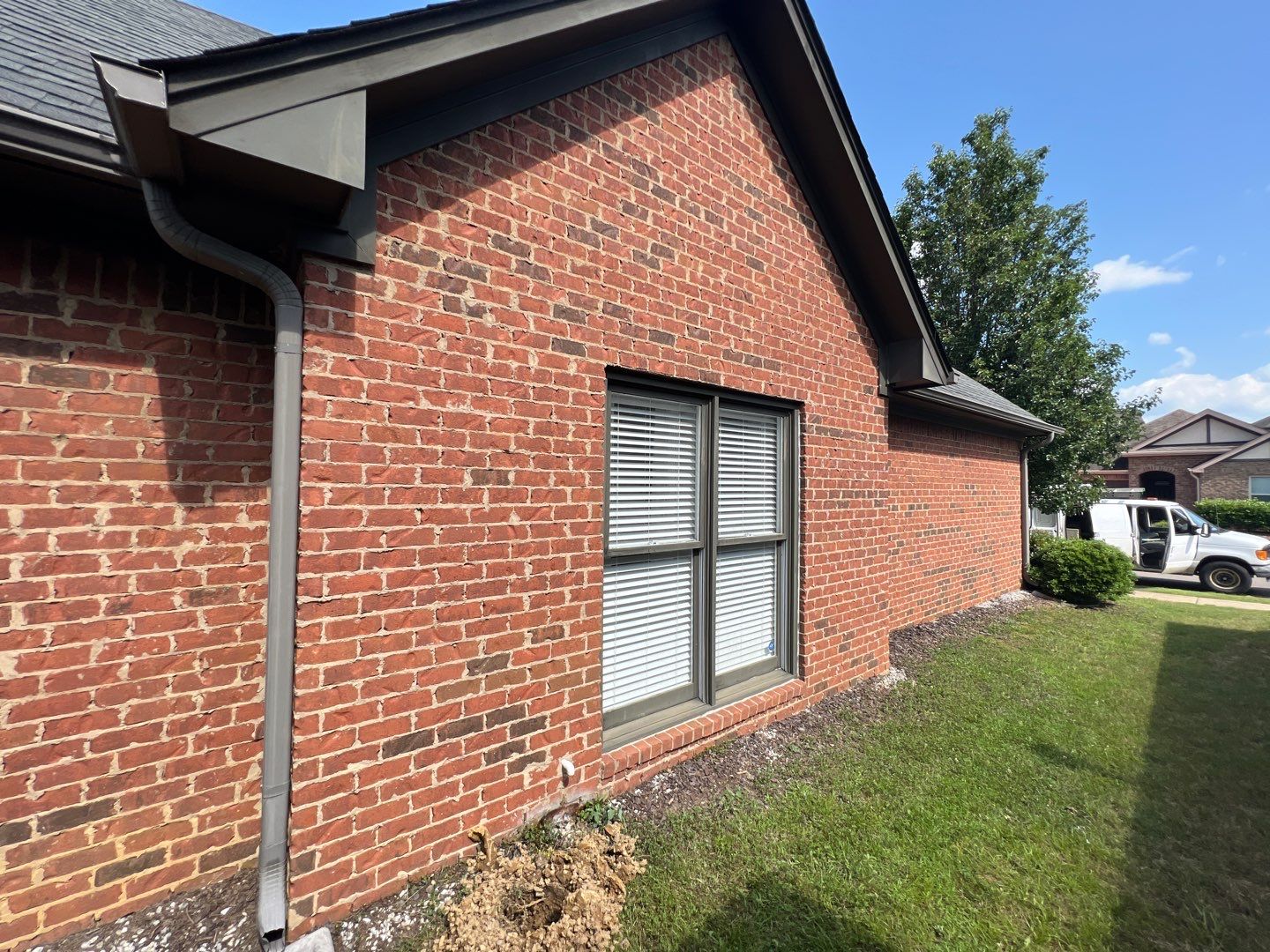 Downing Park - Paint by Pillar and Pine