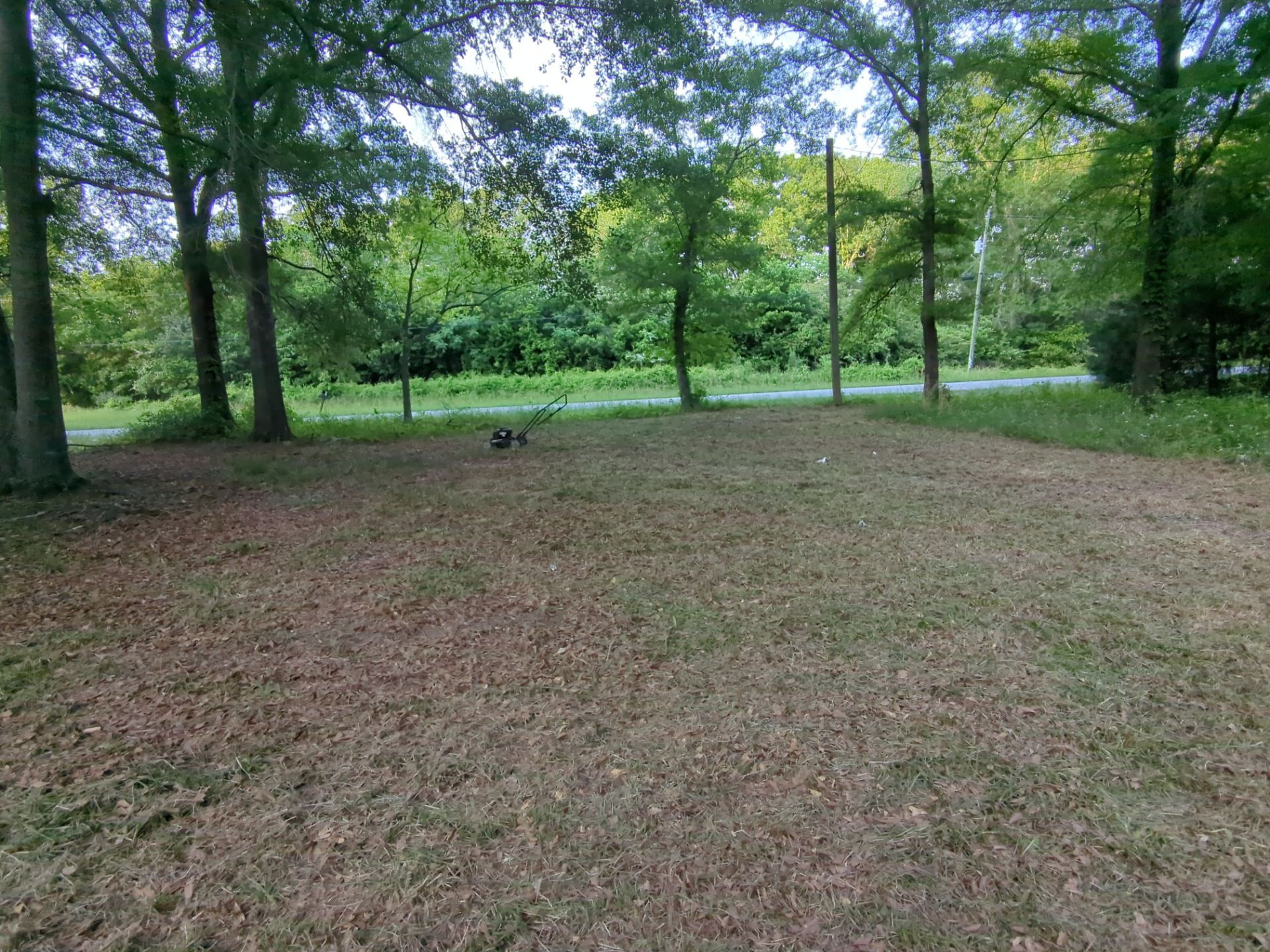 Exterior Clearing - tree trimming - grass cut by Swift Signings and Services LLC