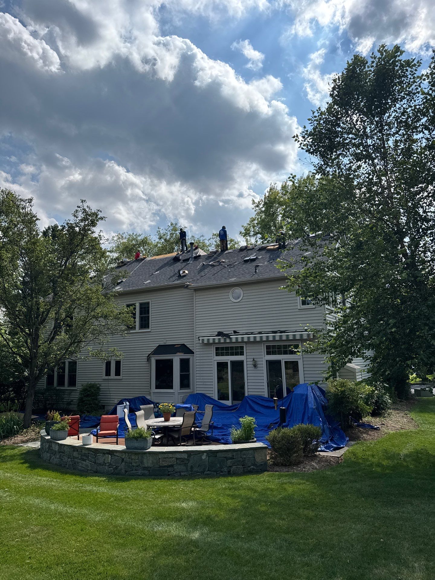 New Shingle Roof & New Gutters and downspouts with covers by Alpha Design Services