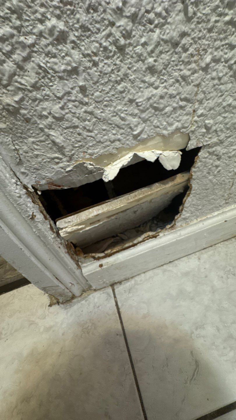 Mold Damage Project in Denver by Accountable Home Services