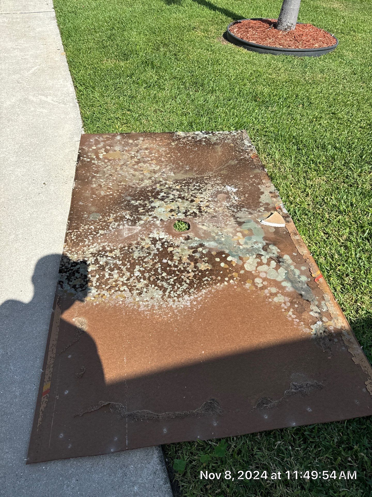 Mold Remediation by SuperClean