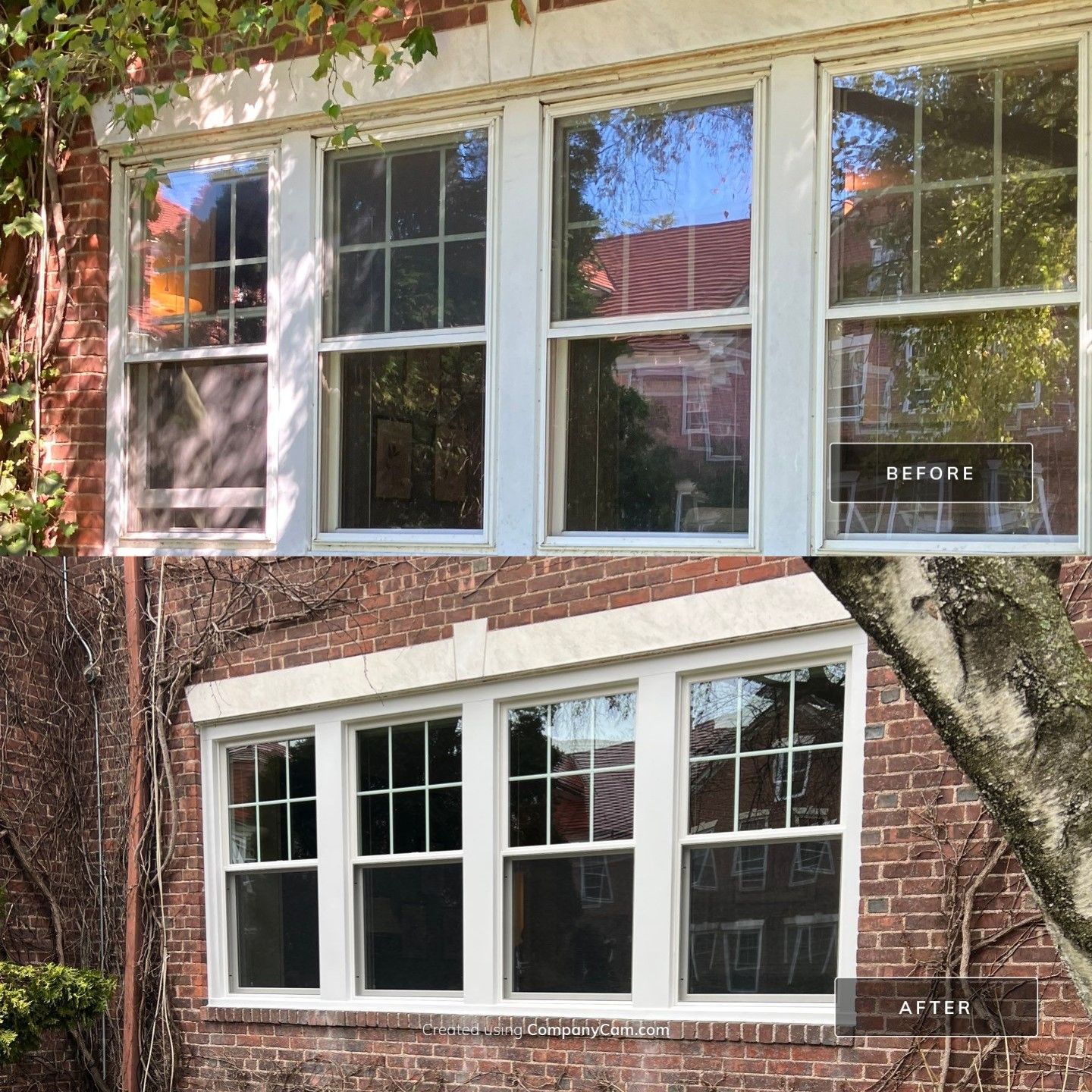 Multi-Window Upgrade for a Brighter, Updated Exterior by DiGiorgi Roofing and Siding Inc