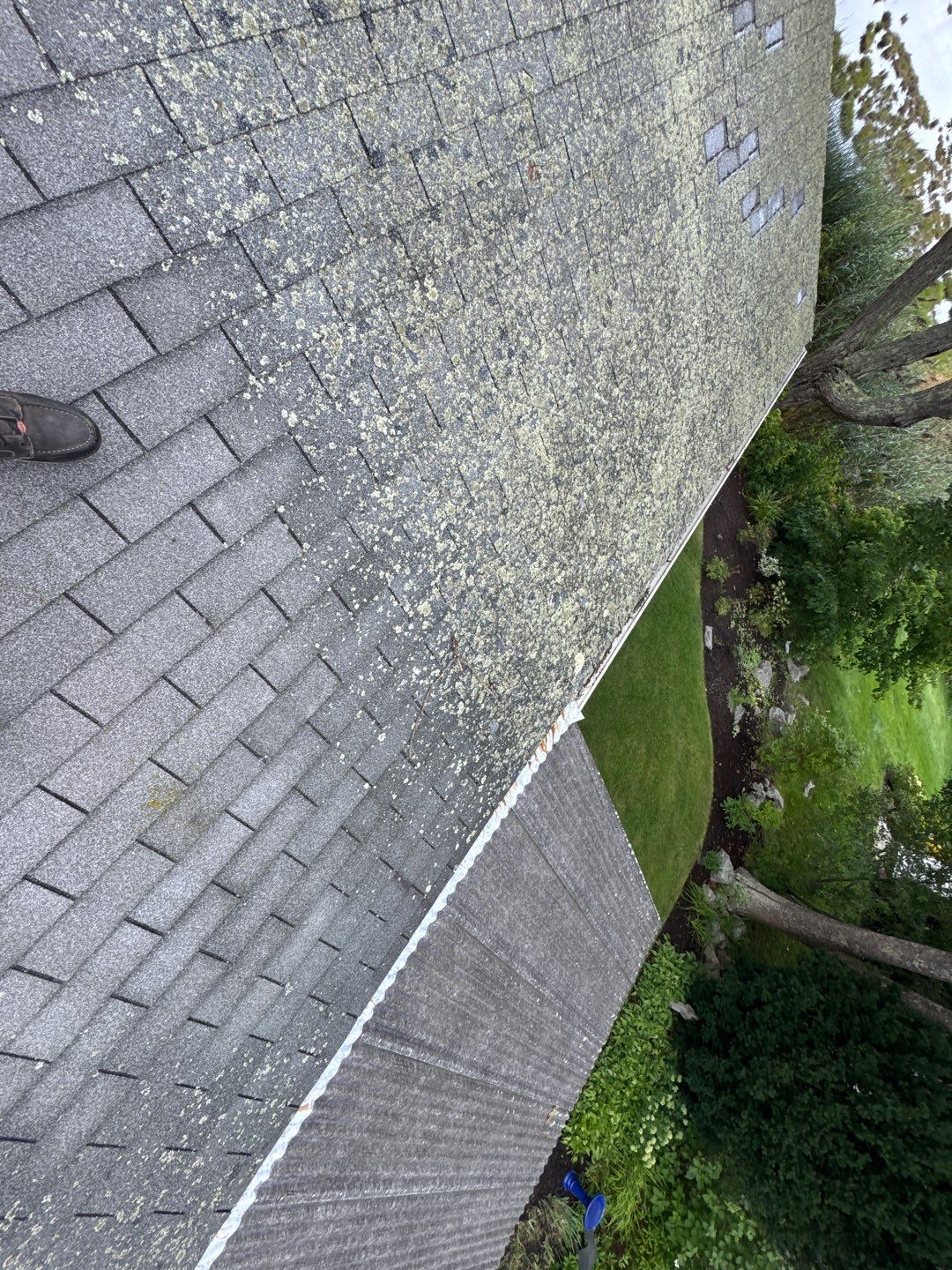 Full Roof Replacement & Carport Trim Repair   by Sensible Home Solutions