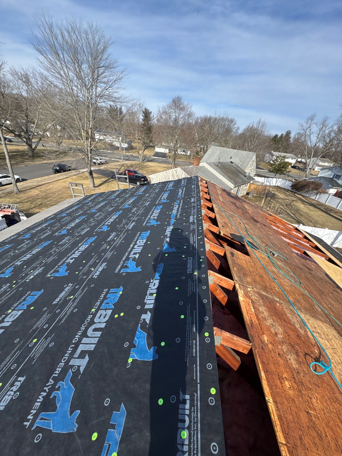 Silver Birch Shingles by Reimagine Roofing
