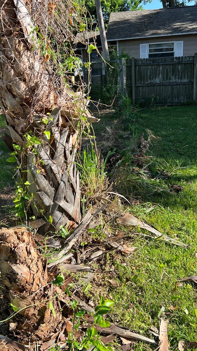 St. Petersburg 6ft. Tall Treated Board on Board by Asap fence and gates, LLC