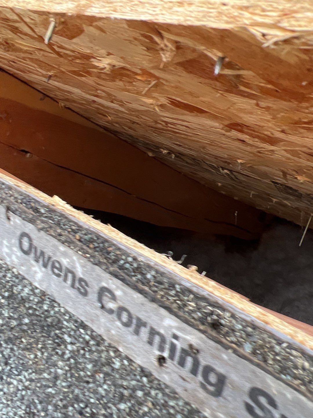 Green Snap Lock Standing Seam  by Montana Roofing Solutions