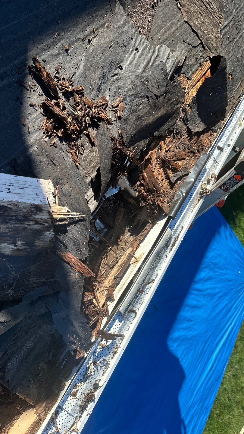 Low Slope Roof Replacement in Hanover, PA — Owens Corning DeckSeal System in Brownwood by Bealing Roofing & Exteriors