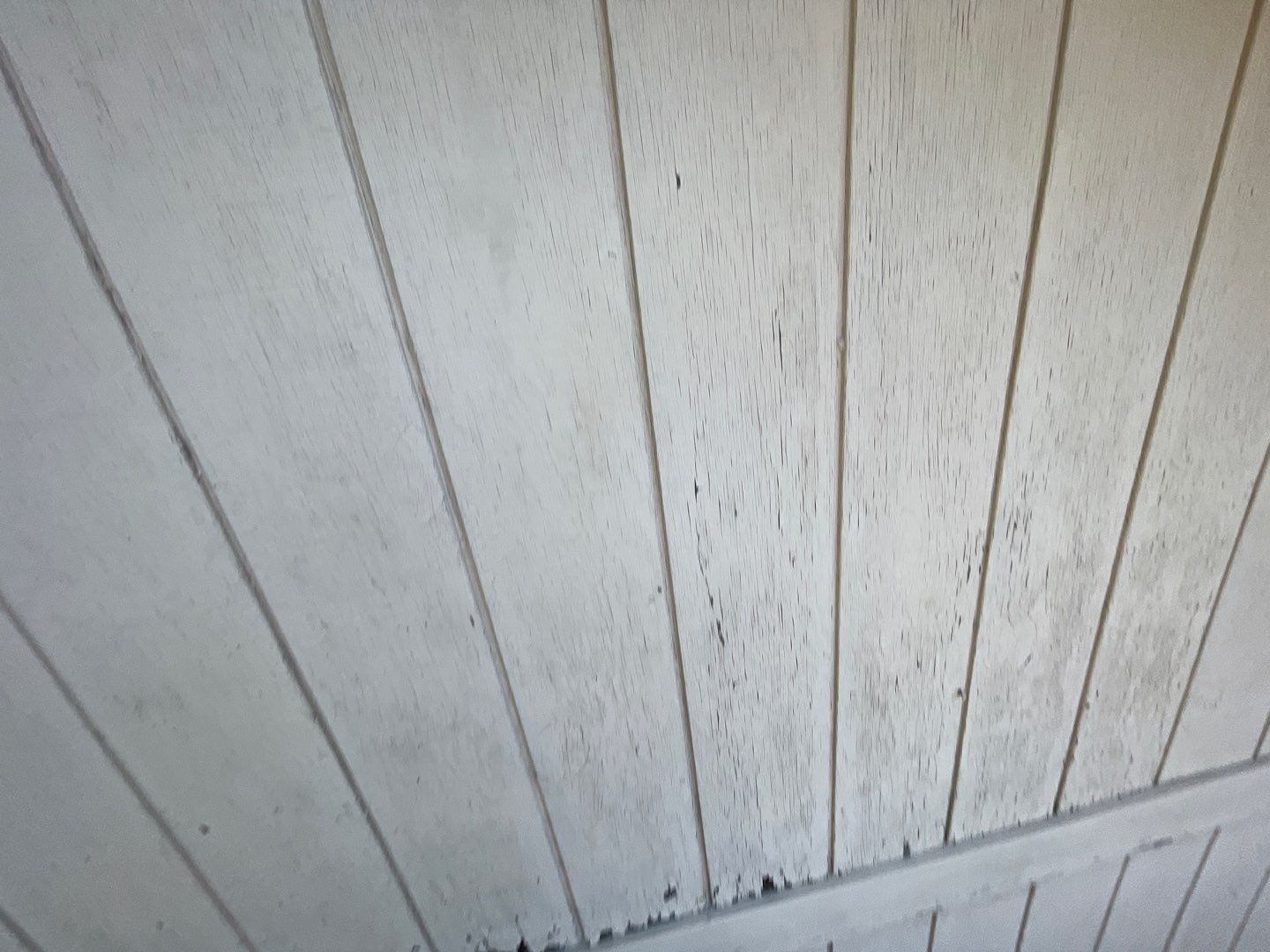 Seabreeze Roof Replacement, Exterior Siding and trim repairs and paint by 317 Roofing & Restorations