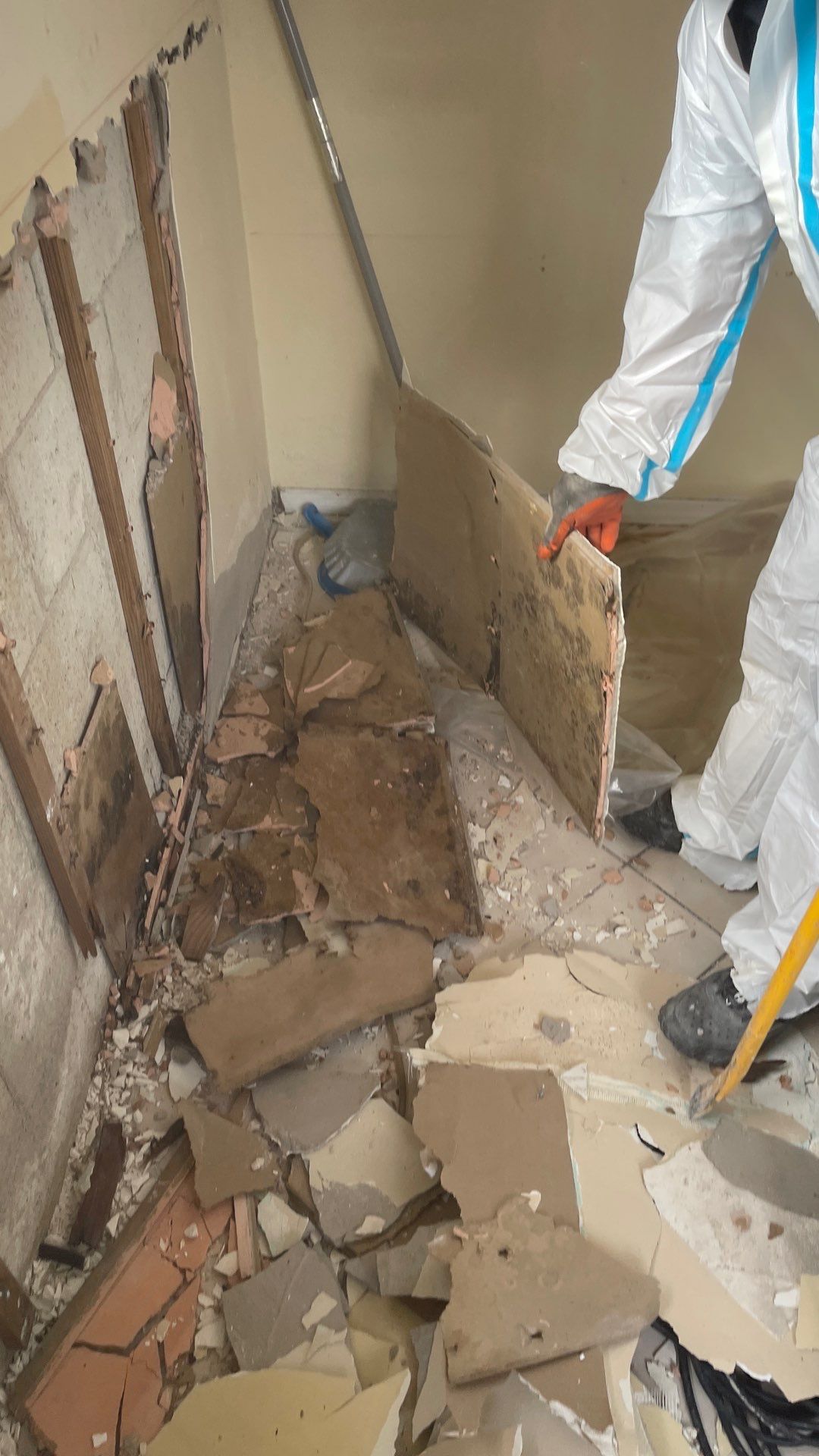 Mold Remediation  by THE RAPID TEAM