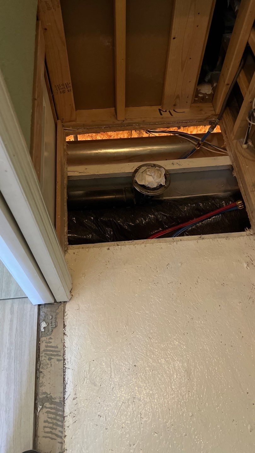 Mold Remediation by Accountable Home Services