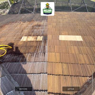 Roof Cleaning